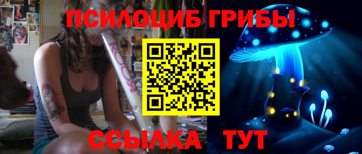 Псилоцибиновые грибы Psilocybe  Вход с VPN  Ханты-Мансийск 